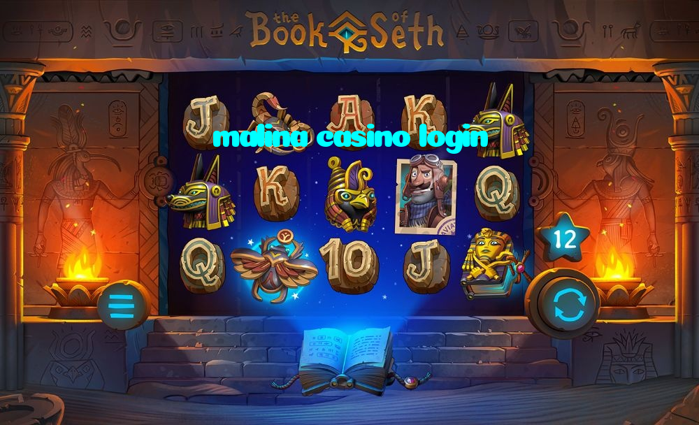 available types of malina casino login bet including pre-match live express and system bets